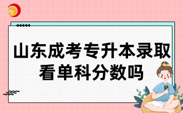 山東成考專升本錄取看單科分數(shù)嗎